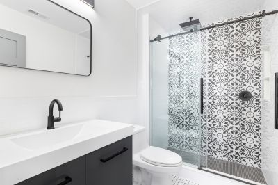 Stylish Shower Door